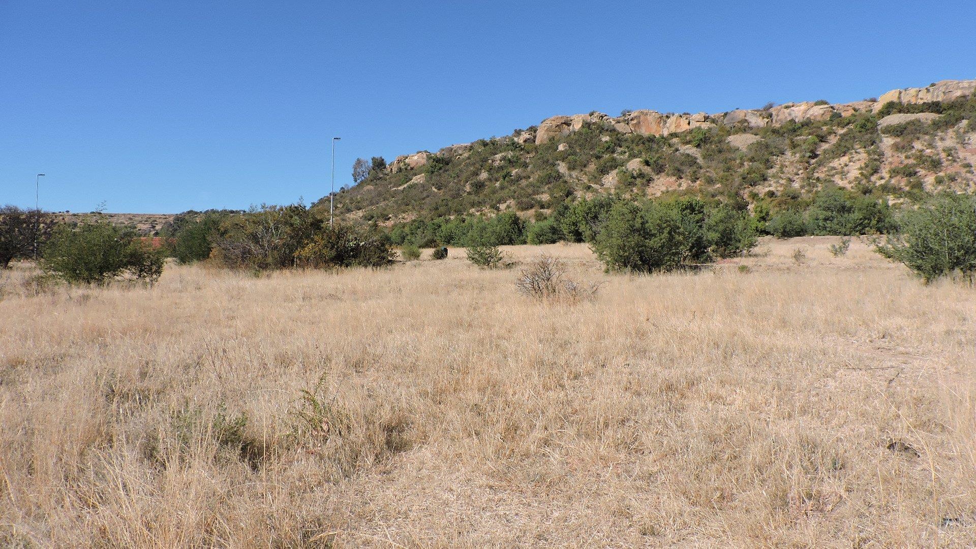 Vacant Land / Plot for Sale in Ladybrand