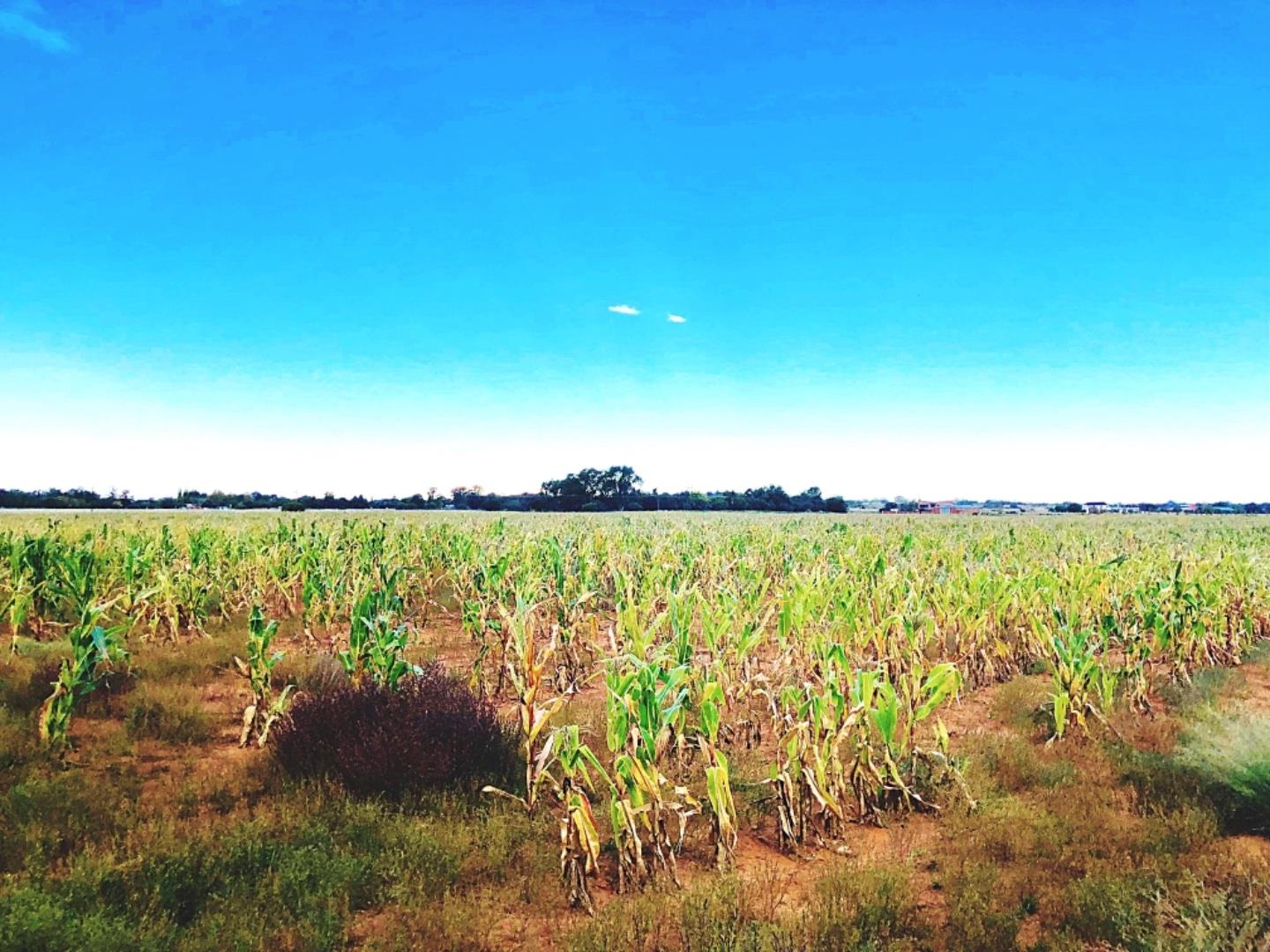 Vacant Land / Plot for Sale in Sopieshoogte SH