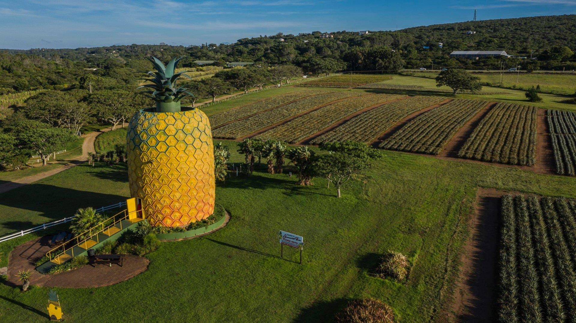 Vacant Land / Plot for Sale in Bathurst