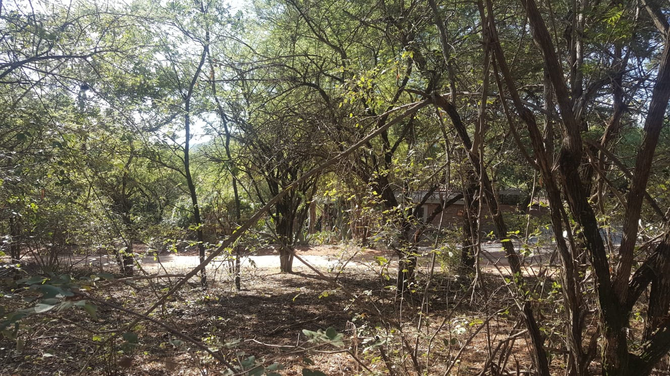 Vacant Land / Plot for Sale in Leeupoort Thabazimbi, Leeupoo