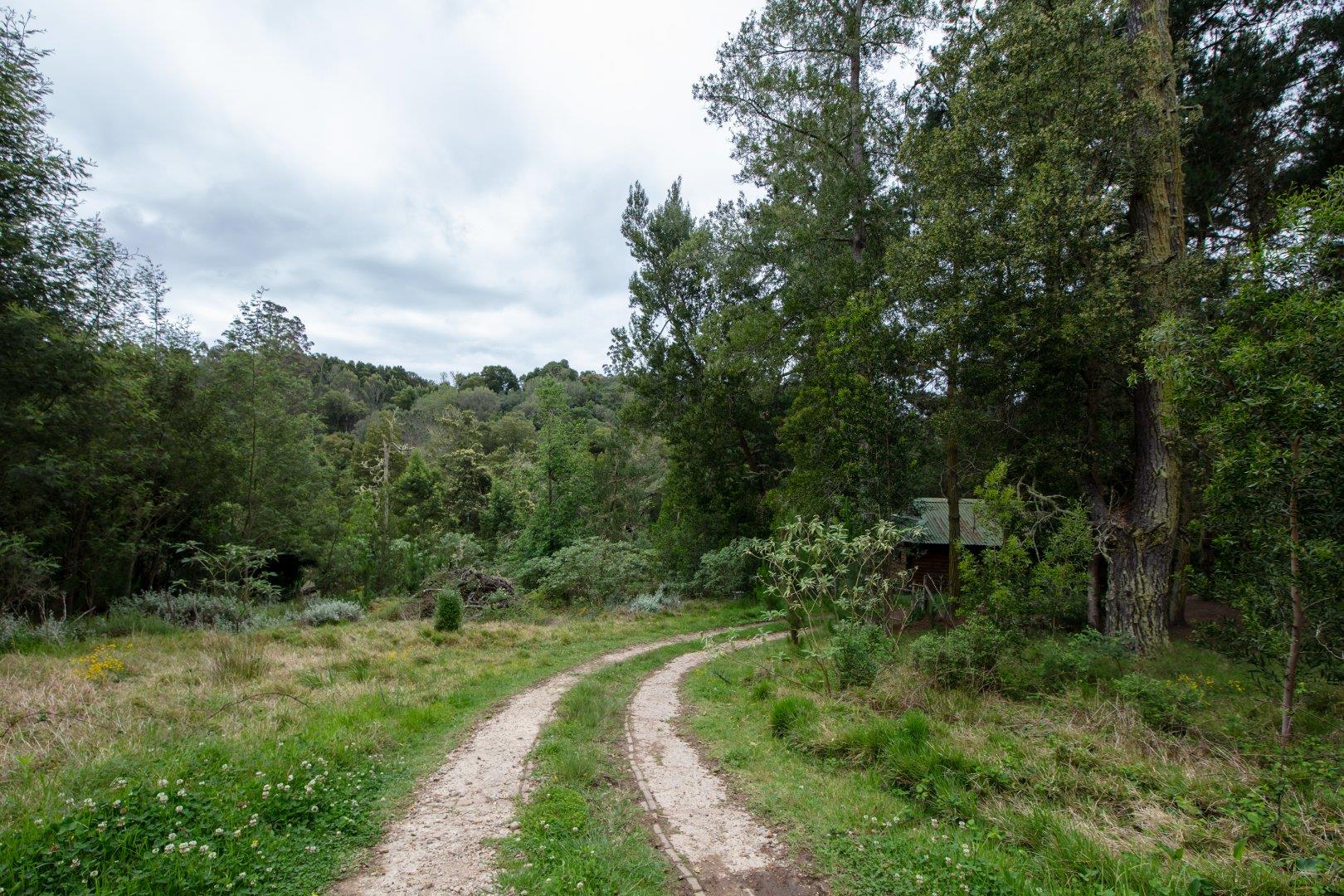 FARM FOR SALE IN HARKERVILLE AH