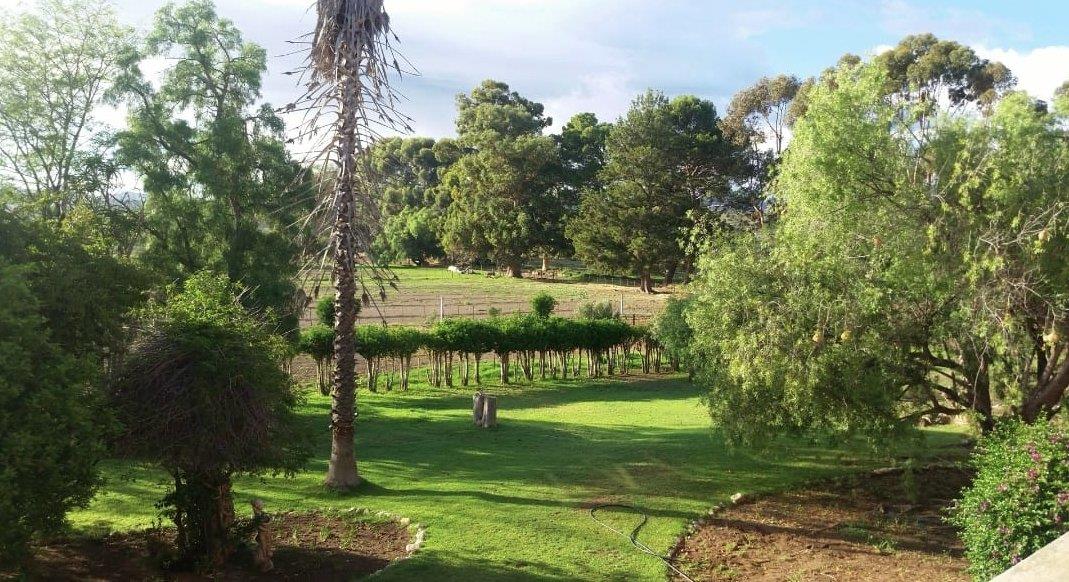 FARM FOR SALE IN WILLOWMORE RURAL