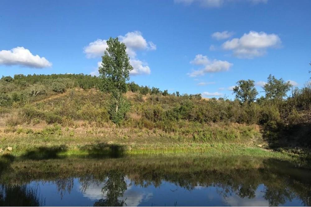 Farm for sale Country living/Eco Tourism/Retreat – Portugal