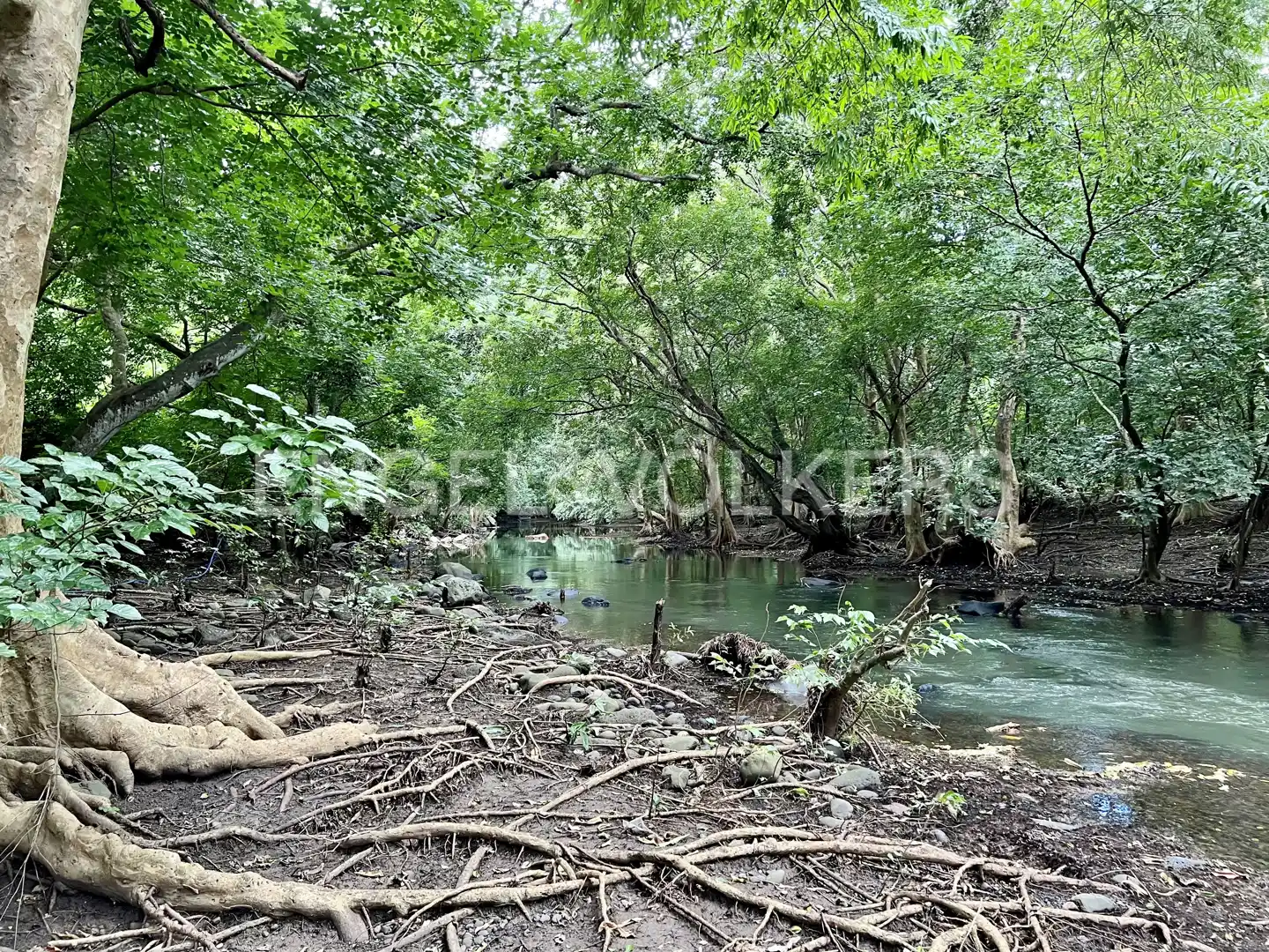 Exclusive Plots for Discerning Investors