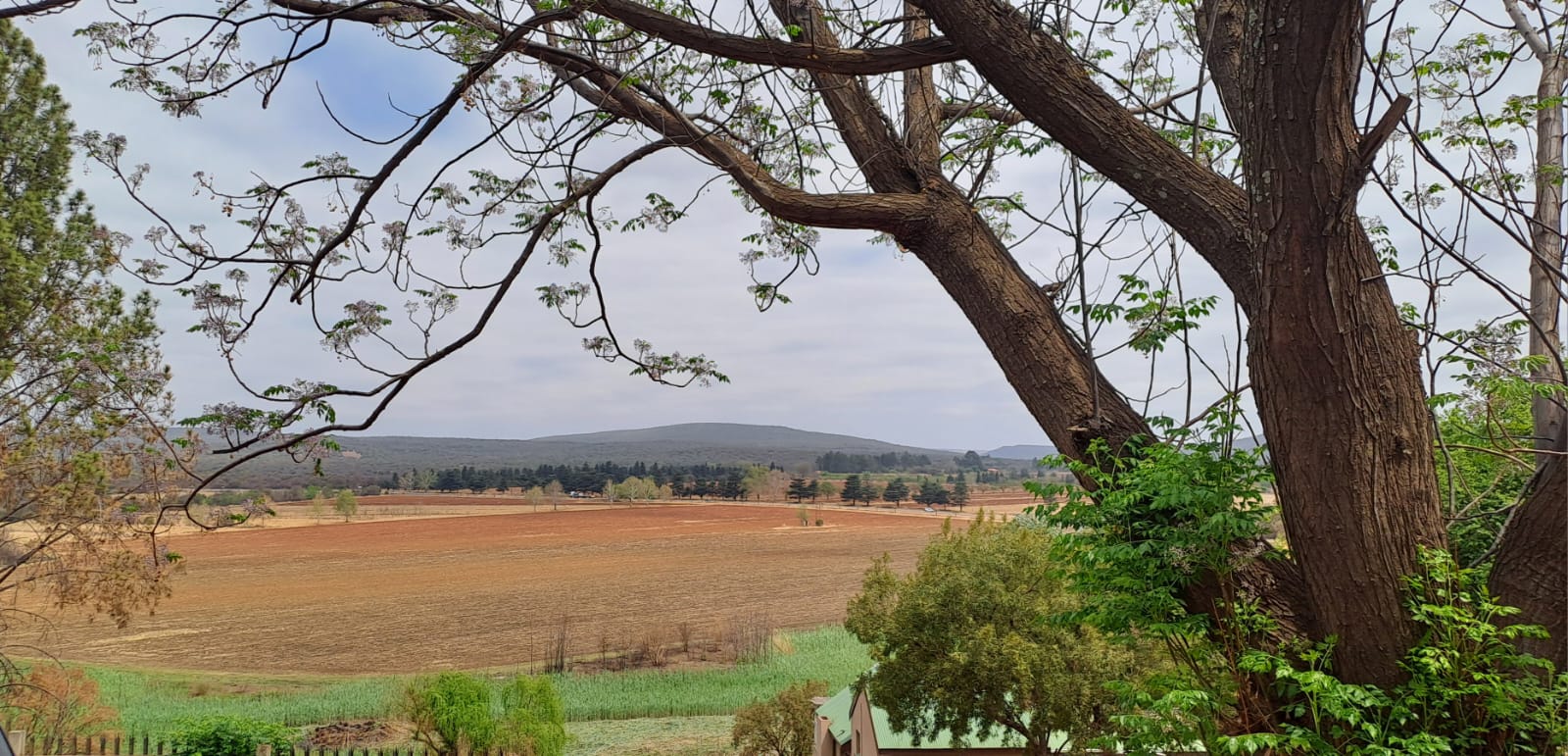 Renovation Opportunity in Olifantsnek: Ideal for Visionaries