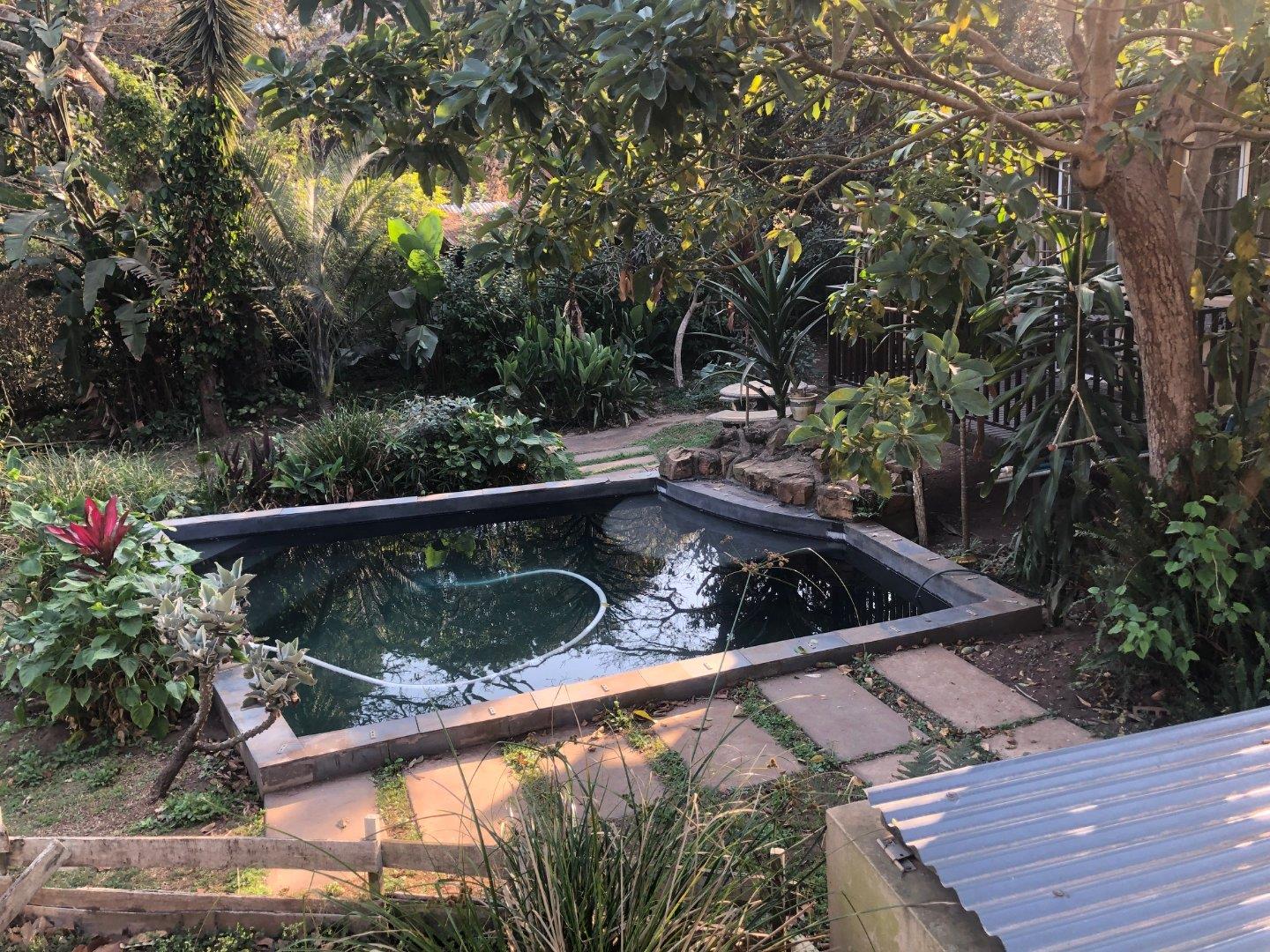 3 Bedroom House to Rent in Forest Hills