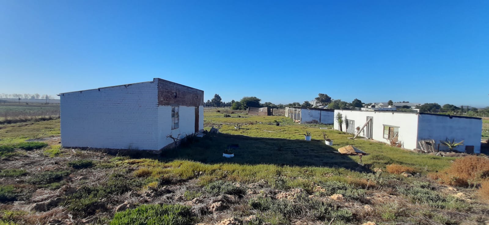 4958m² Smallholding in Koperfontein