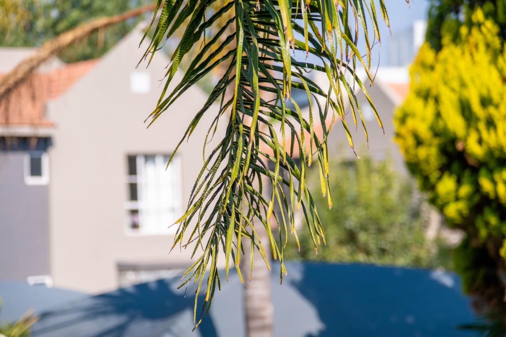 Private bachelor pad with screeded floors and caesarstone kitchen.